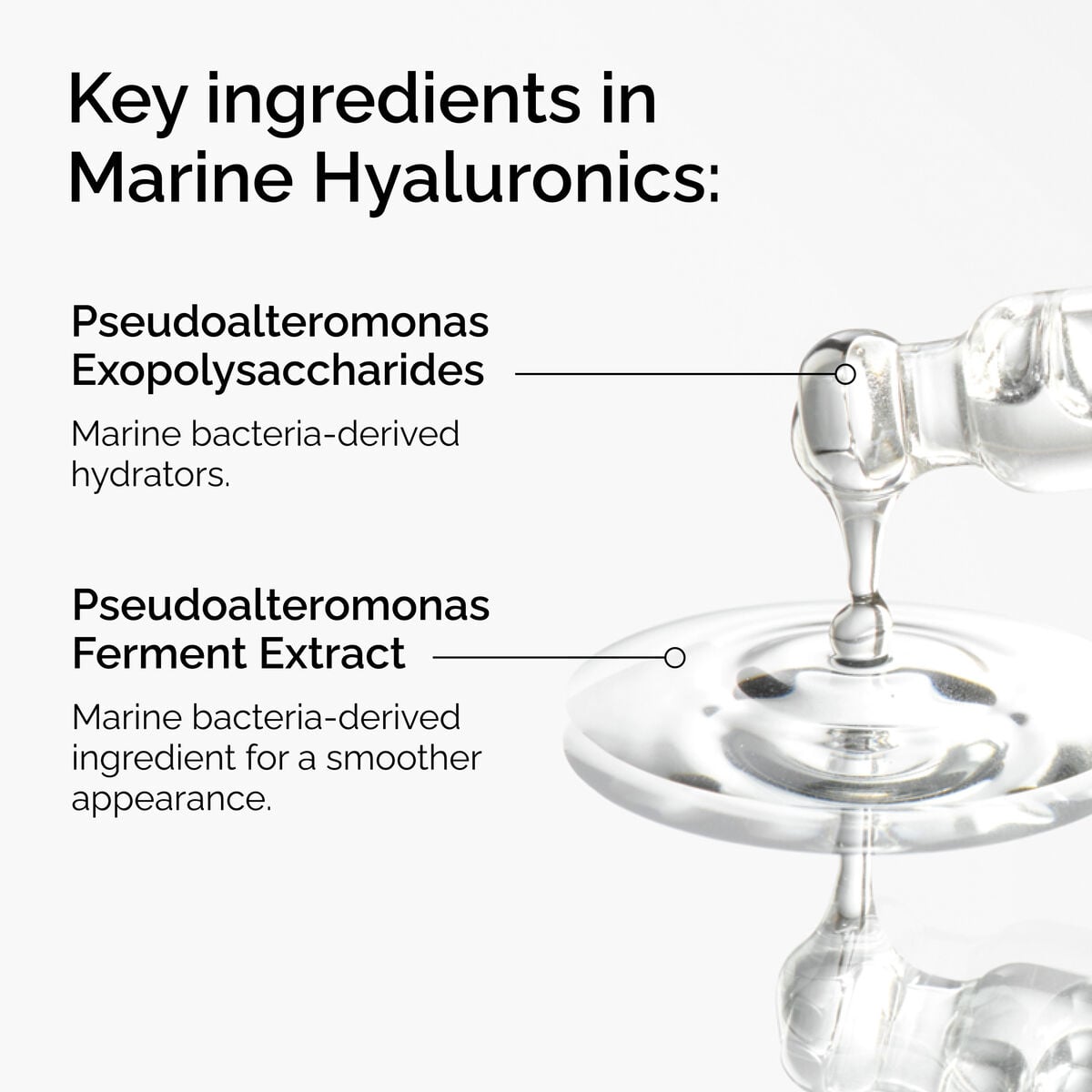 marine-hyaluronics-y2 FY25-D41247-ORD-Web-PDP-Marine-Hya-1x1-EN-2a.jpg