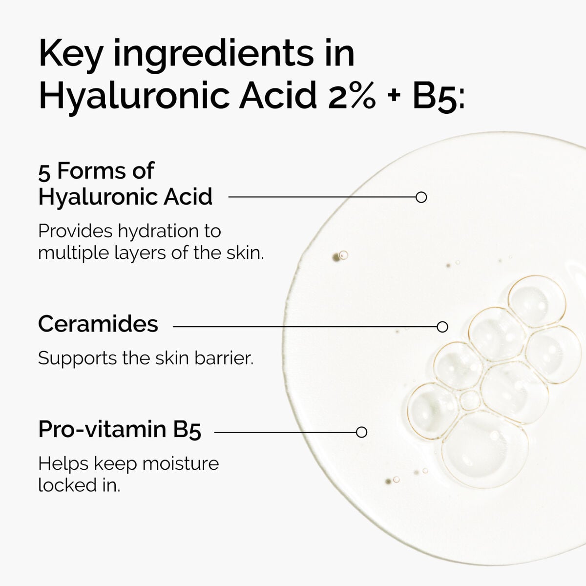 hyaluronic-acid-2-b5-with-ceramides-w7 ord-hyaluronic-acid-2pct-b5-hydrating-serum-ingredients-graphic.jpg
